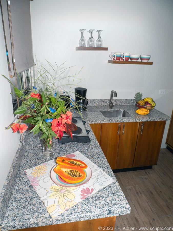 Luxury Apartments Nauyaca By Paradiselodge Platanillo 외부 사진